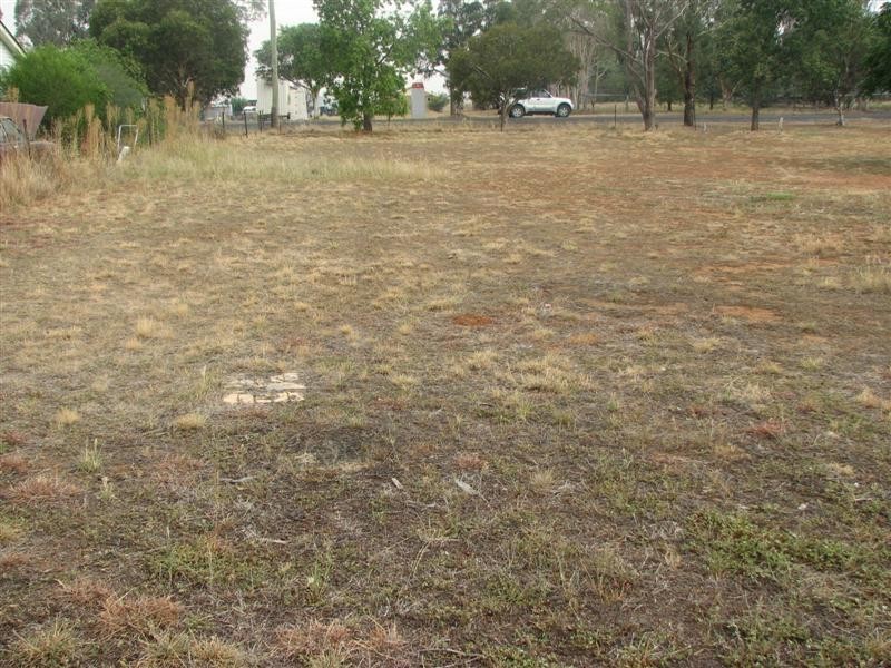 12 Thurburn Street, Wattamondara NSW 2794