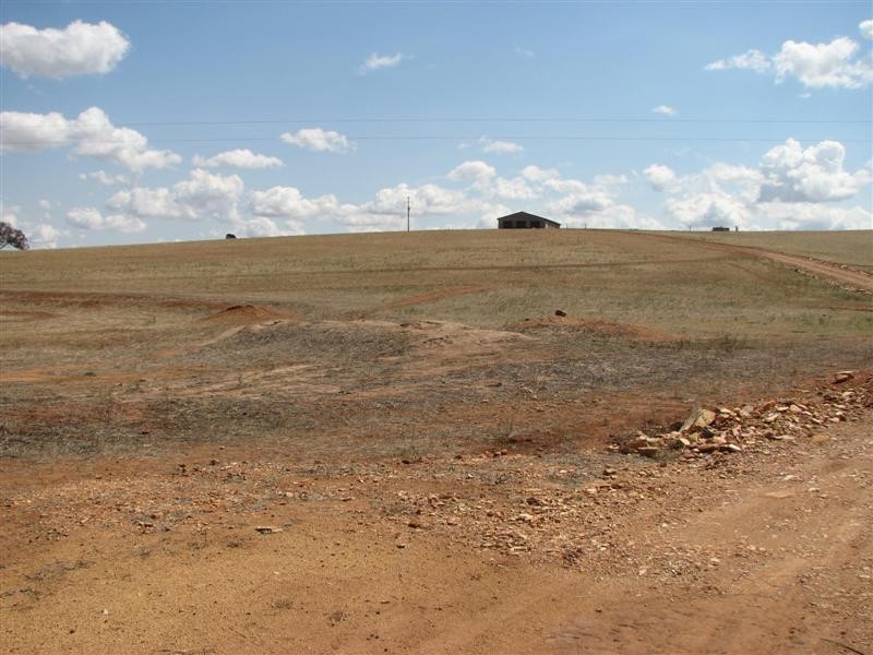 89 Lynchs Lane, Grenfell NSW 2810