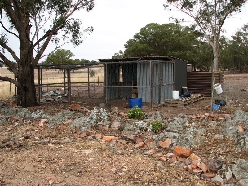 Lot 12 Kangarooby Road, Gooloogong NSW 2805