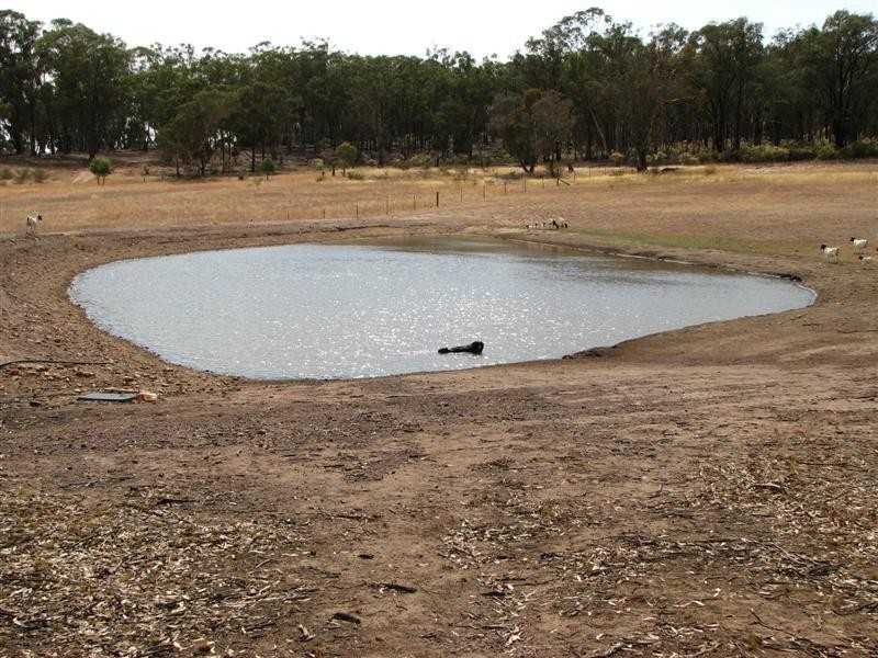 Lot 12 Kangarooby Road, Gooloogong NSW 2805