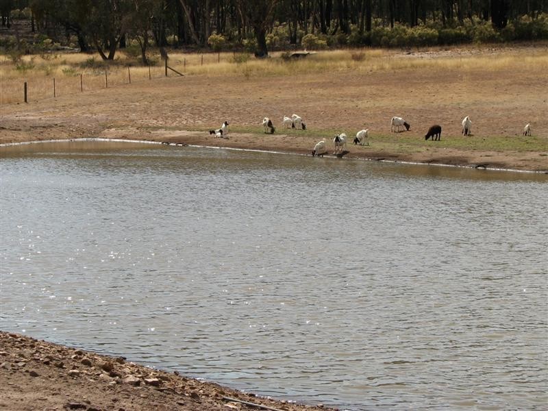 Lot 12 Kangarooby Road, Gooloogong NSW 2805