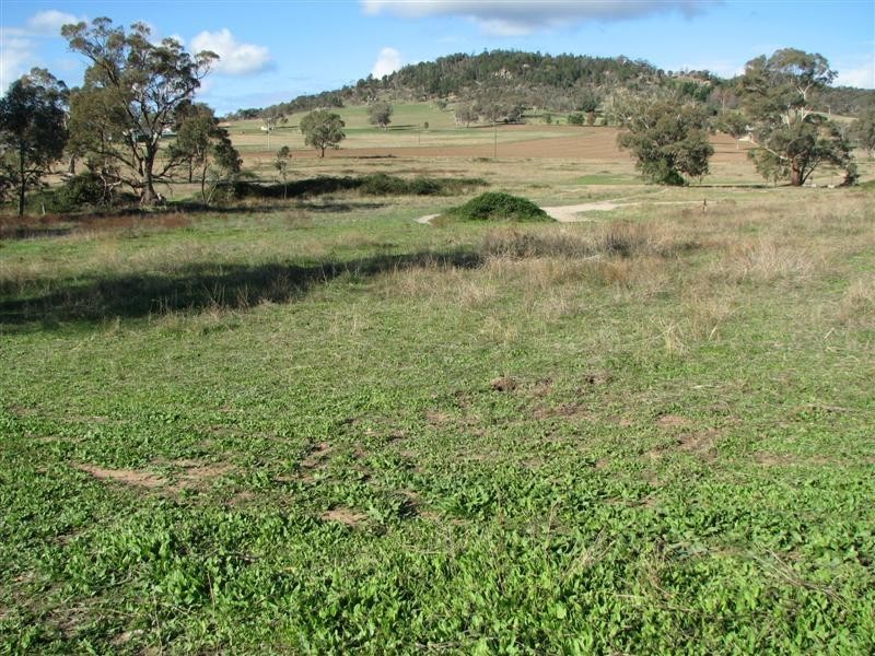 17 Pine Springs Road, Woodstock NSW 2793