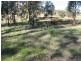 17 Pine Springs Road, Woodstock NSW 2793