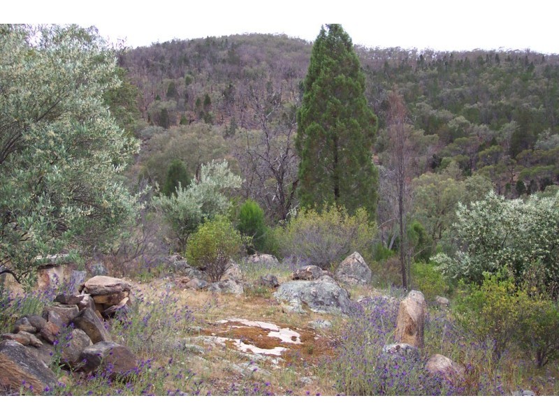 Lot 29 Blue Mantle Road, Wyangala NSW 2808