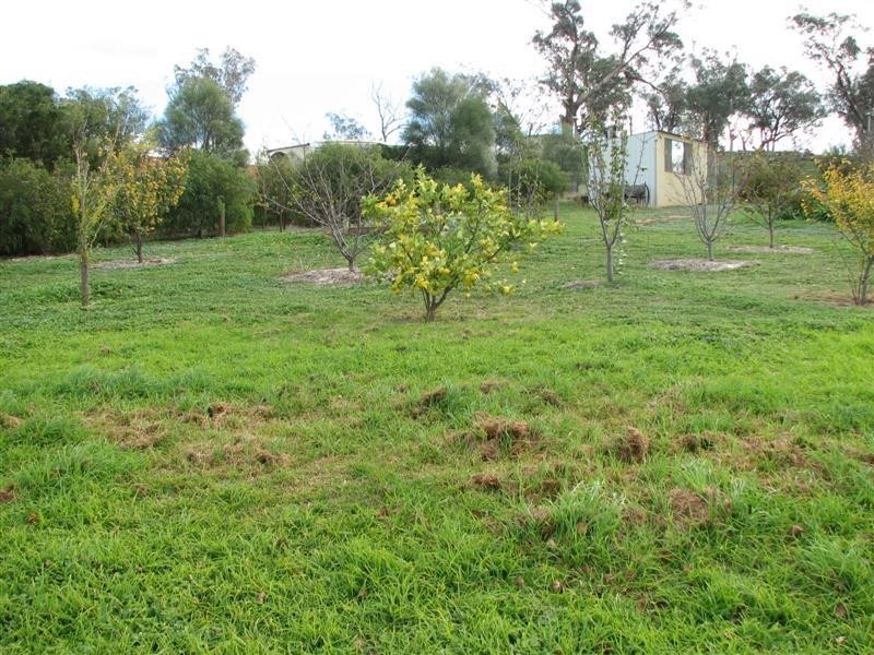 15 Henley Street, Bendick Murrell NSW 2803