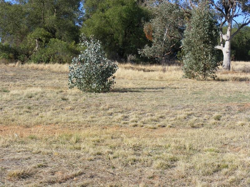 Lot 201 London Drive, Cowra NSW 2794