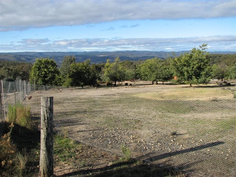 831 Tea Tree Road, Garland NSW 2797