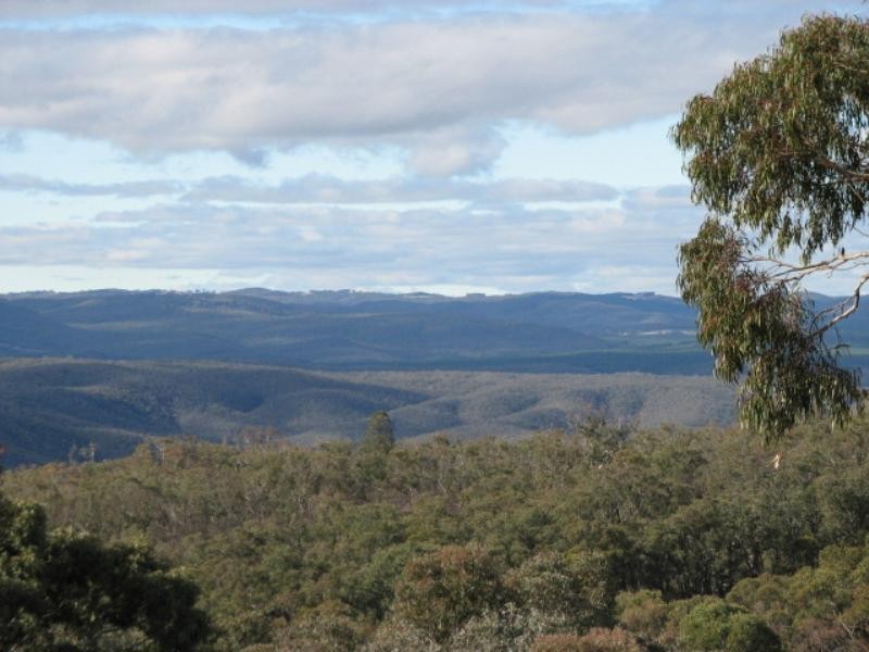 831 Tea Tree Road, Garland NSW 2797