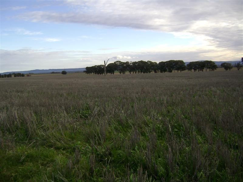 Lots 2-4 Glen Logan Road, Cowra NSW 2794