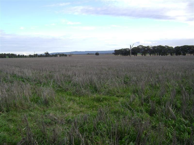 Lots 2-4 Glen Logan Road, Cowra NSW 2794