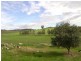 3367 Darbys Falls Road –   ‘Riverslea’, Cowra NSW 2794