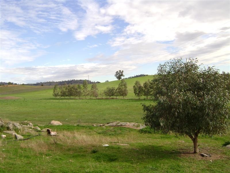 3367 Darbys Falls Road –   ‘Riverslea’, Cowra NSW 2794