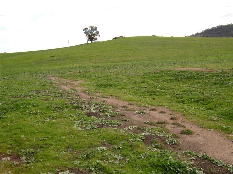 3367 Darbys Falls Road –   ‘Riverslea’, Cowra NSW 2794