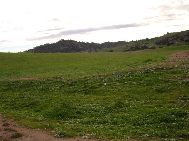 3367 Darbys Falls Road –   ‘Riverslea’, Cowra NSW 2794