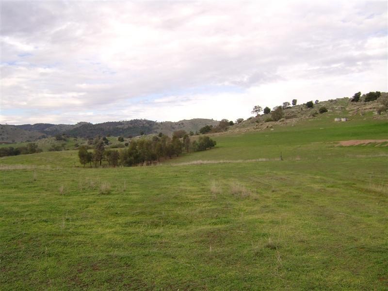 3367 Darbys Falls Road –   ‘Riverslea’, Cowra NSW 2794