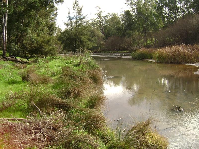 3367 Darbys Falls Road –   ‘Riverslea’, Cowra NSW 2794
