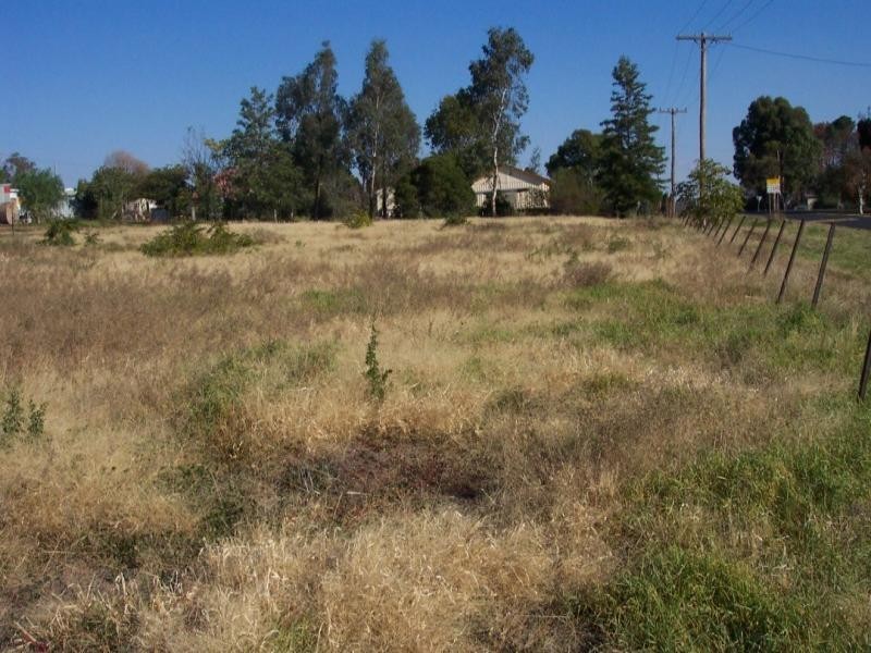 19 Rankin Street, Woodstock NSW 2793