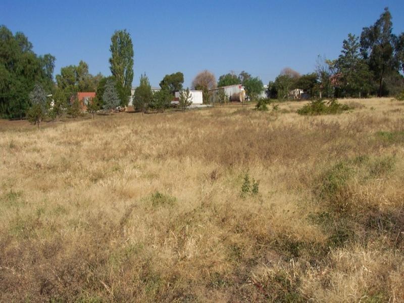 19 Rankin Street, Woodstock NSW 2793