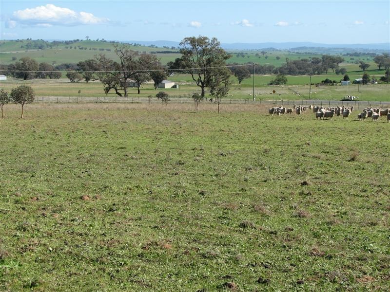 1133 Pine Mount Road, Woodstock NSW 2793