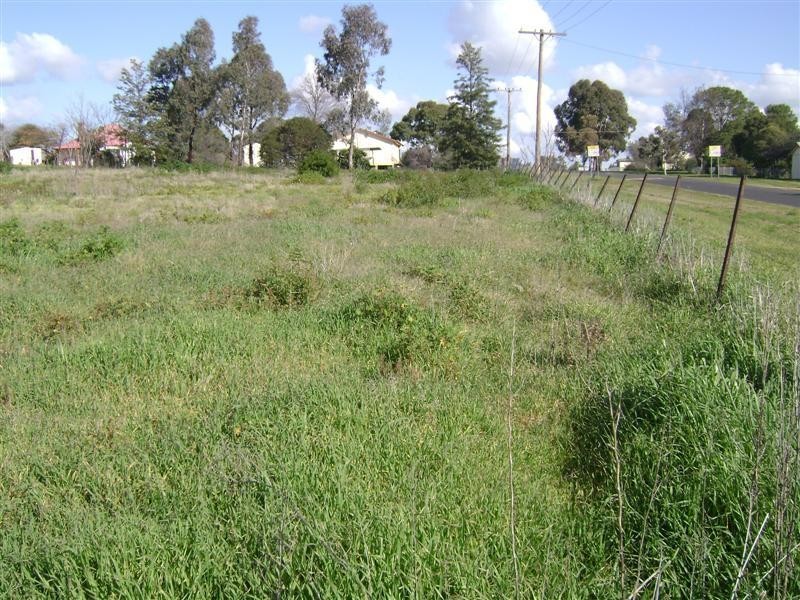 19 Rankin Street, Woodstock NSW 2793