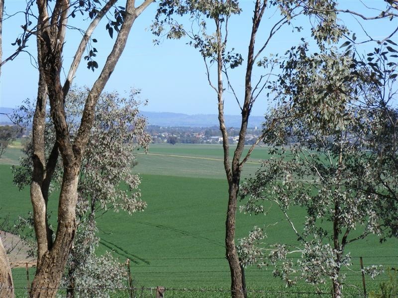 320 Camp Road, Cowra NSW 2794