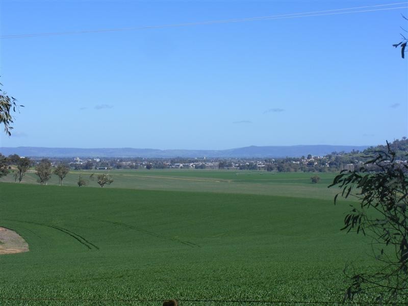 320 Camp Road, Cowra NSW 2794