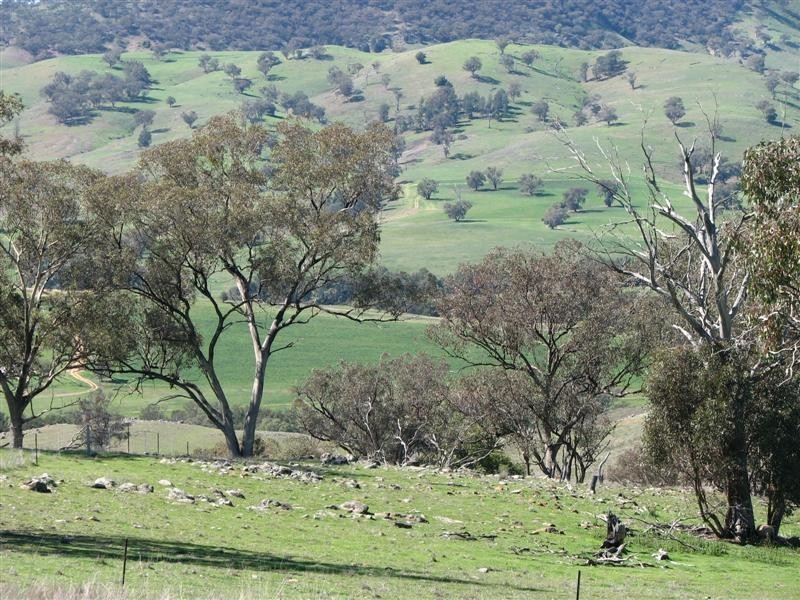 92 Wiannamatta Road, Canowindra NSW 2804