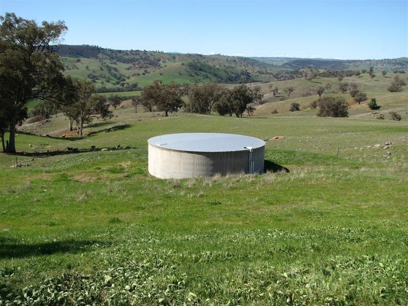 92 Wiannamatta Road, Canowindra NSW 2804