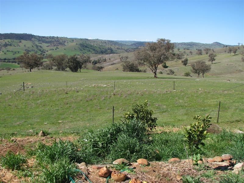 92 Wiannamatta Road, Canowindra NSW 2804