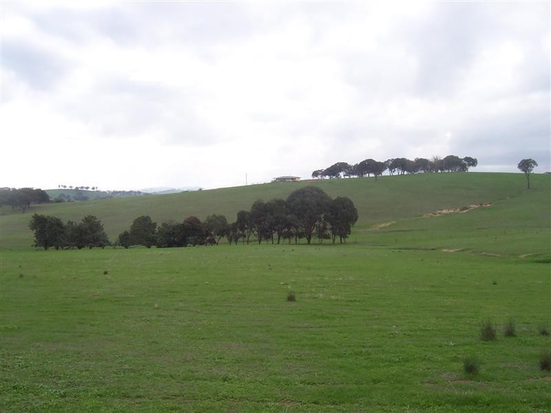 1658 Frogmore Road, Frogmore NSW 2586