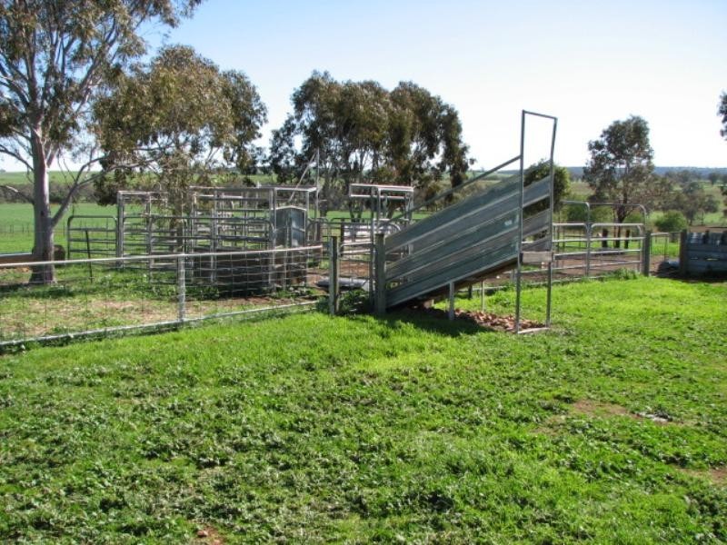 Grenfell NSW 2810