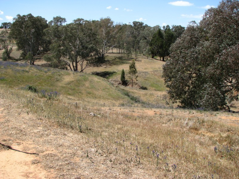 31A Valley View Road, Cowra NSW 2794