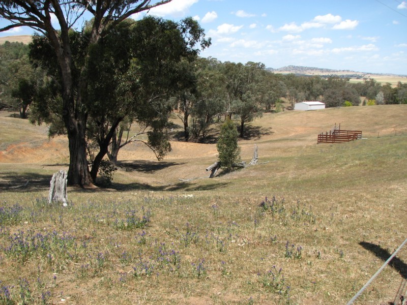 31A Valley View Road, Cowra NSW 2794