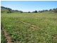 1932 Canowindra Road, Cowra NSW 2794