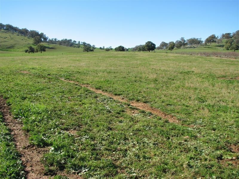 1932 Canowindra Road, Cowra NSW 2794