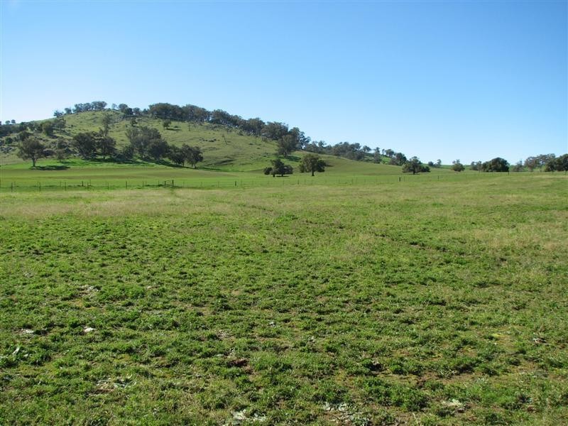 1932 Canowindra Road, Cowra NSW 2794