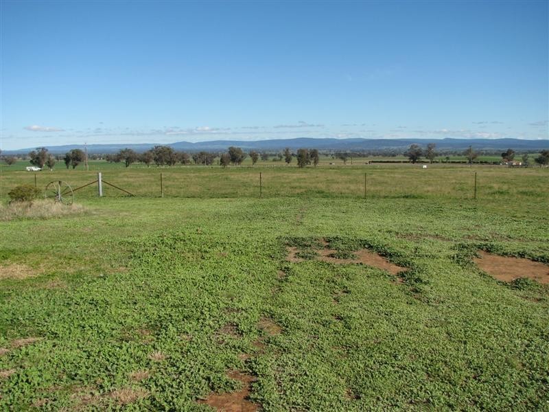 1932 Canowindra Road, Cowra NSW 2794