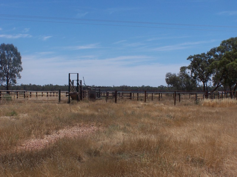 Condobolin NSW 2877