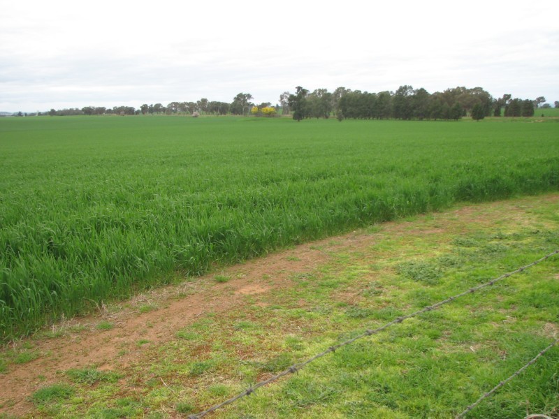 Lot 25 Young Road, Cowra NSW 2794