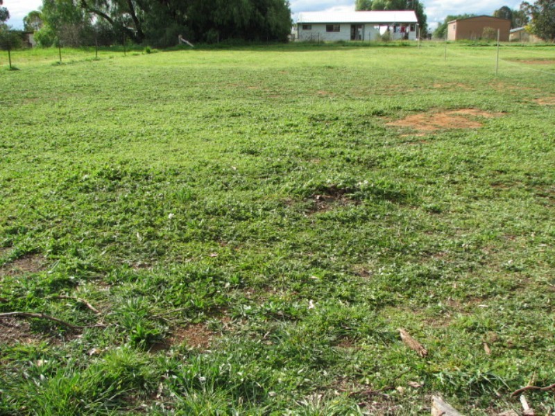 Lots 1 & 2 Bowen Street, Woodstock NSW 2793