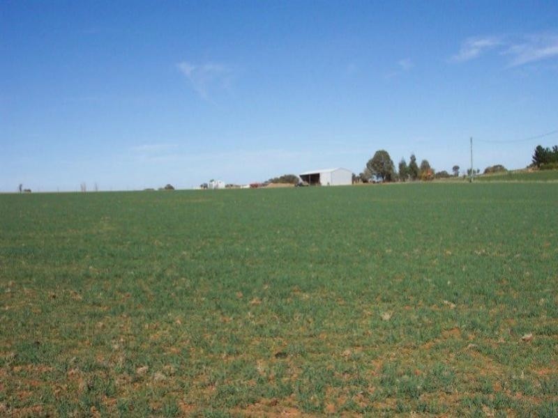 125 Kangaroo Flat Road, Cowra NSW 2794