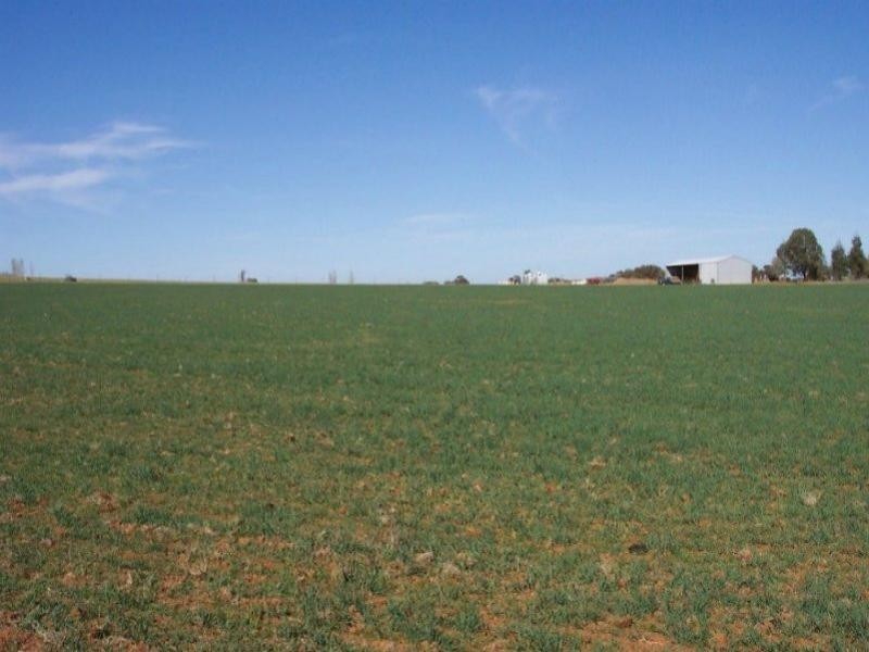 125 Kangaroo Flat Road, Cowra NSW 2794