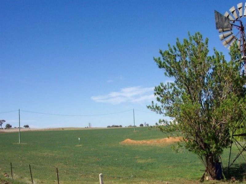 125 Kangaroo Flat Road, Cowra NSW 2794