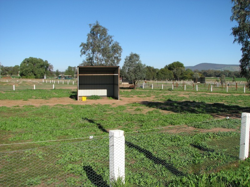 25 Uppingham Street, Koorawatha NSW 2807