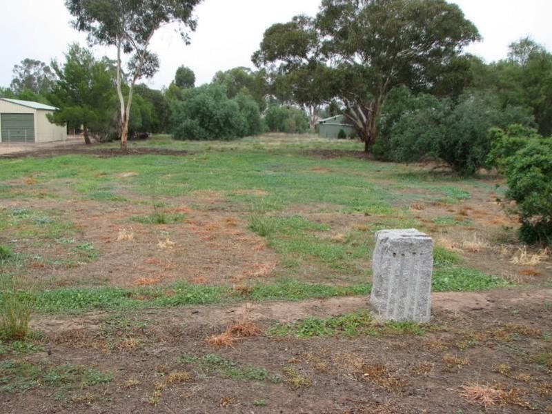 Lot 10 Pye Street, Eugowra NSW 2806