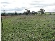 Lot 22 Pine Springs Road, Woodstock NSW 2793