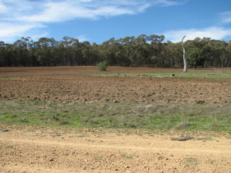 Lot 55 Kemps Road, Cowra NSW 2794
