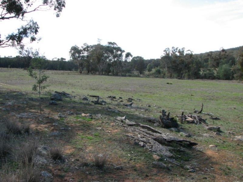 Lot 55 Kemps Road, Cowra NSW 2794
