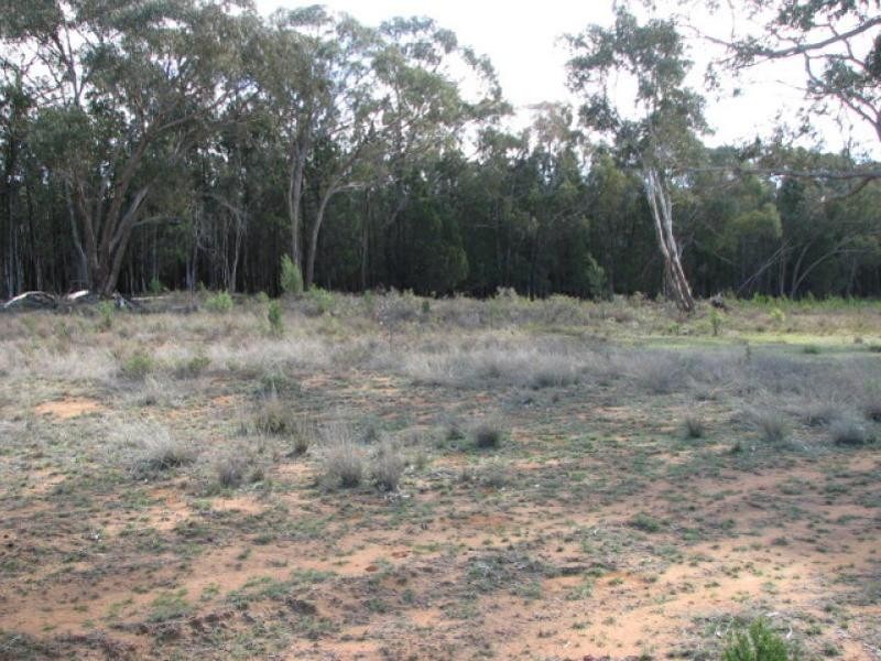 Lot 55 Kemps Road, Cowra NSW 2794