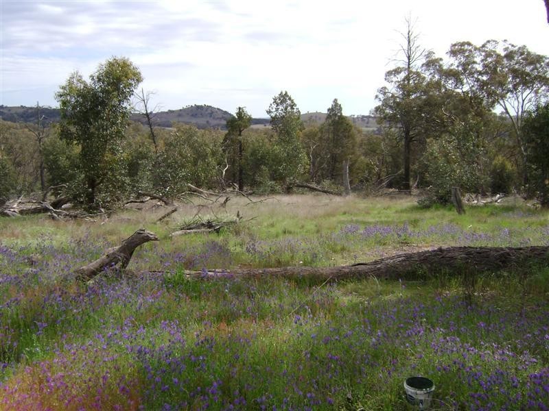 Lot 1, 211 Horton Drive, Woodstock NSW 2793